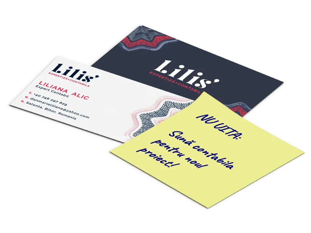 Ilustrație: contact Lilis' Consulting